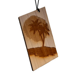 Palm Tree Sunset