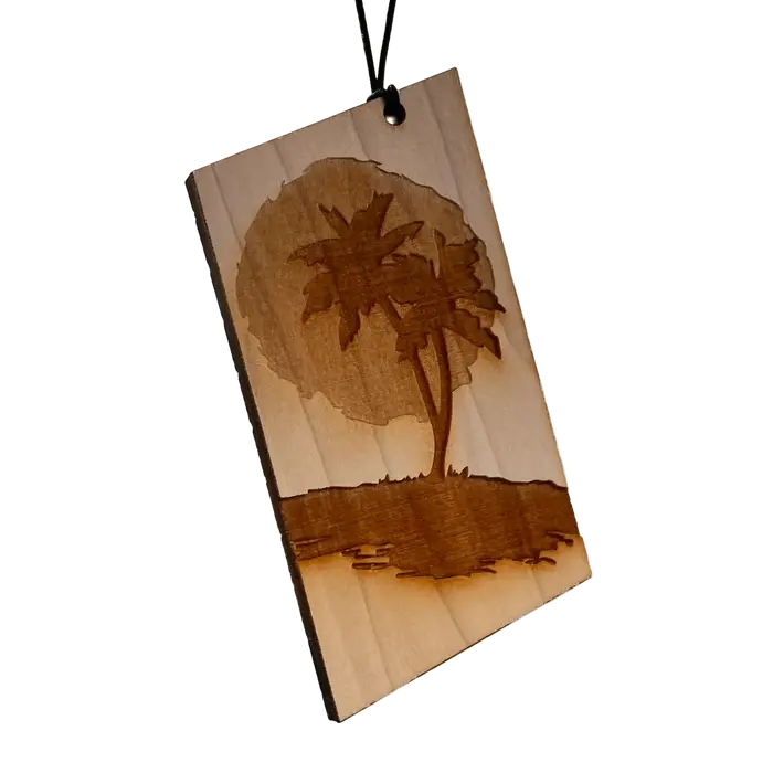 Palm Tree Sunset Arotag design